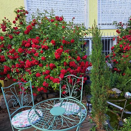 Apartament Nensi Ehekirchen Zewnętrze zdjęcie